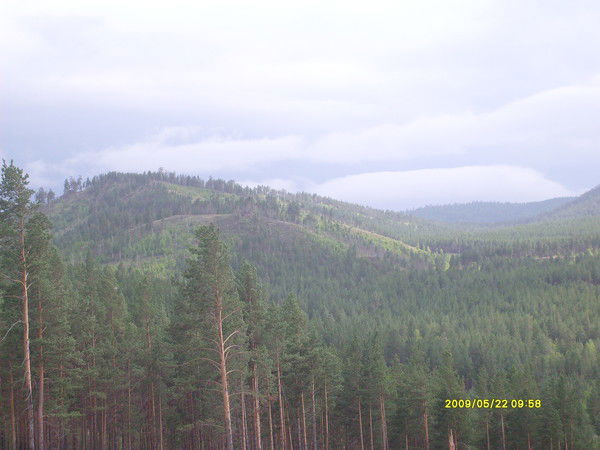 Леонид Будаев