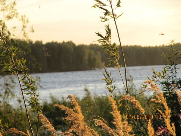 Карина Селизнева