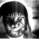 Камиль Афтахов
