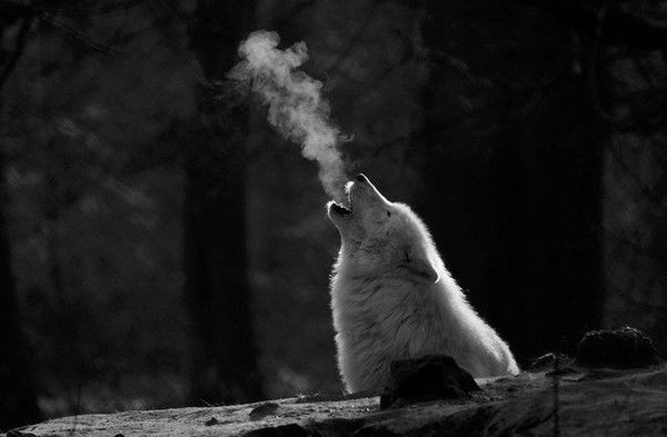 Сергей Савин