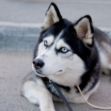 Екатерина Егорова