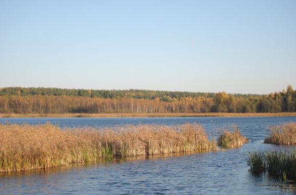 Владимир Чернев