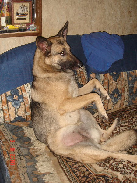 Аристарх Ерубкин