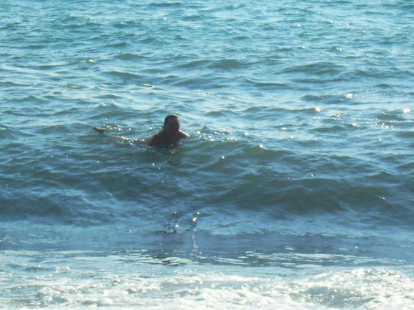 Елена Соловьева