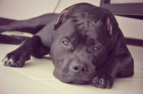 Виталий Давыдов