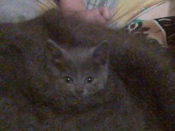 Таня Казанцева