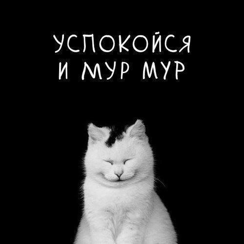 Вот так просыпаешься утром и сразу понимаешь что нуждаешься. 7daaa. Вот так просыпаешься утром и сразу понимаешь что нуждаешься фото. Вот так просыпаешься утром и сразу понимаешь что нуждаешься-7daaa. картинка Вот так просыпаешься утром и сразу понимаешь что нуждаешься. картинка 7daaa.