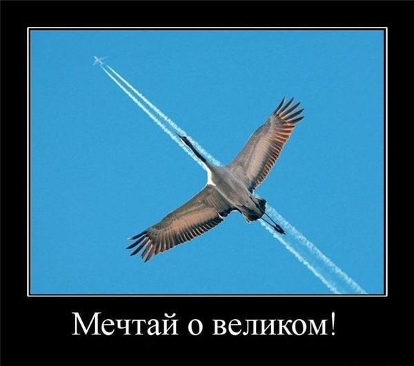 Владимир Чувиков