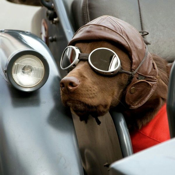 Татьяна Мусина