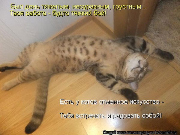 Ксения Волкова