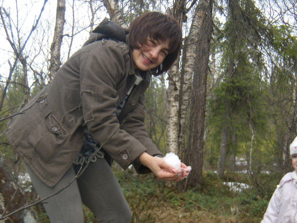 521083454 Тимош