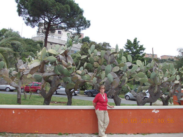 Ярослава Вайда