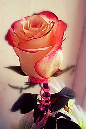 Даша Игнатьева