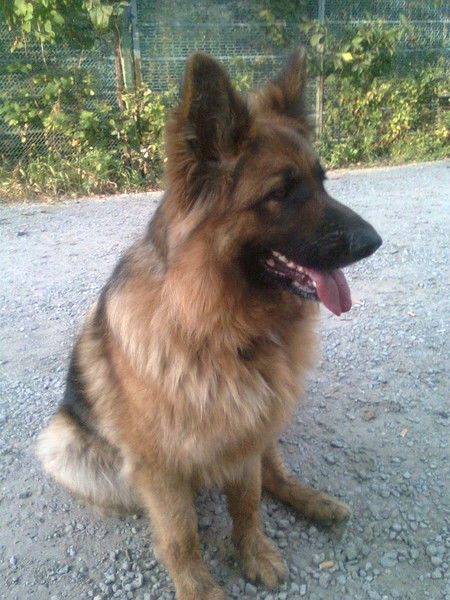 Александра Намазова