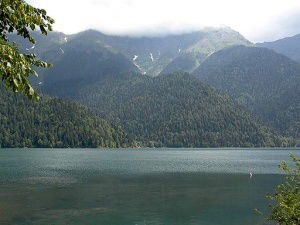 Олег Железнов