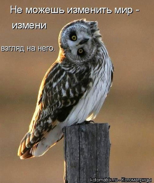 Елена Погудина