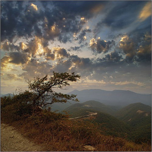 Татьяна Рубаева