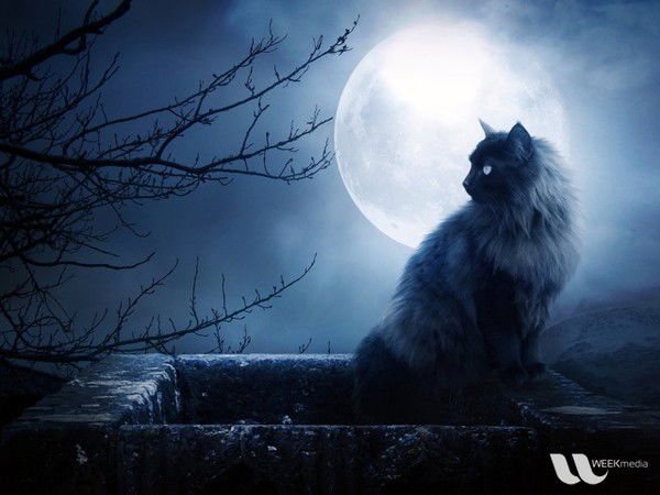 Саша Фролова