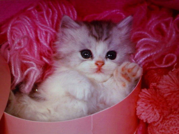 Наталья Владимировна