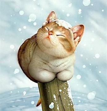 Евгения Гладкова