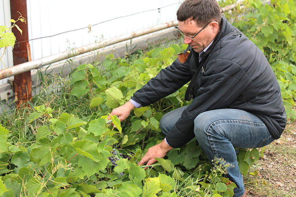 Владимир Кумпан