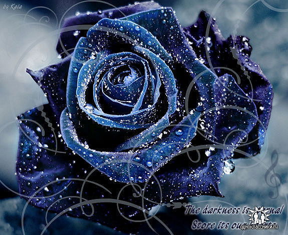 Людмила Хабибулина