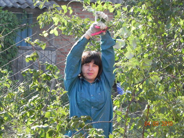 Резеда Ананьева