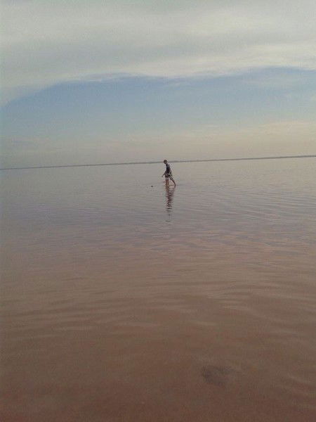 Марина Жерздева