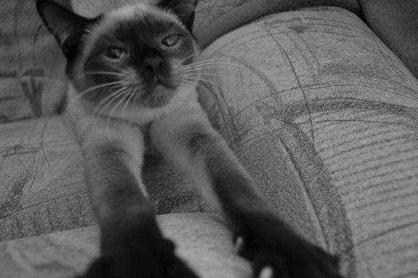 Ирина Давлет-Кильдеева