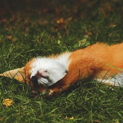 Мария Болдырева