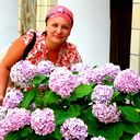 Елена Тимофеева