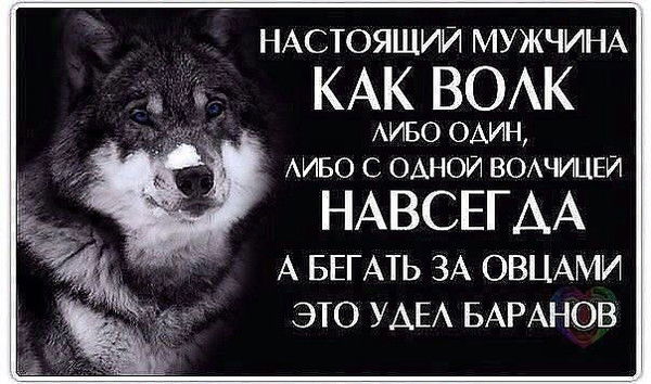 Мээримбек Тургунбаев