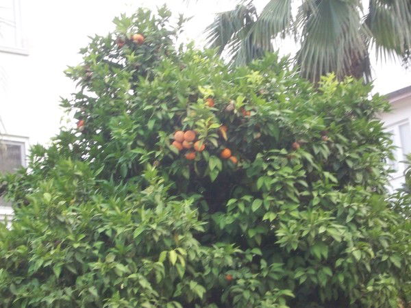 Анастасия Пермякова