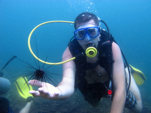 Сергей Сидоров