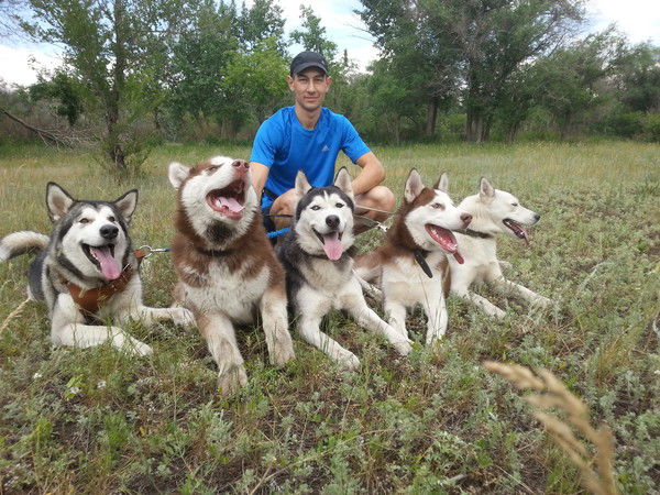 Александр Чеботарев