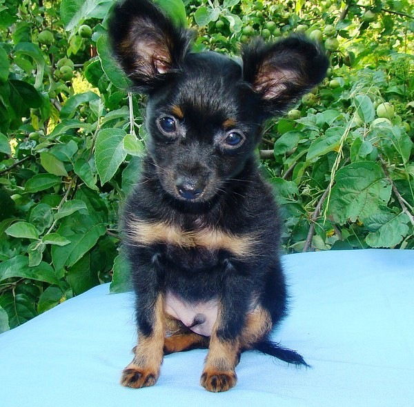 Андрей Иванов