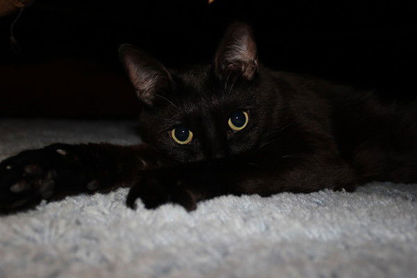 Ольга Щеглова