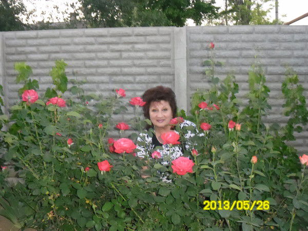 Верв Березина