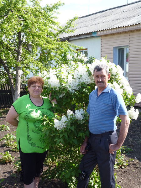 Николай Лазоренко