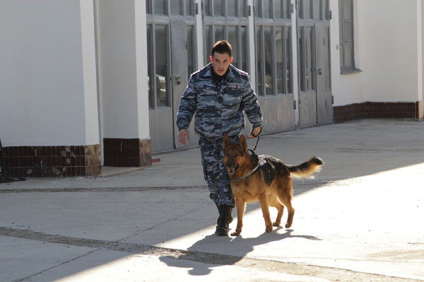 Кц Севастополь