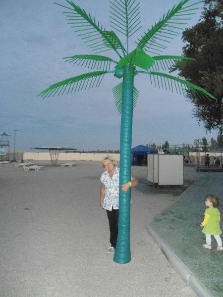 Светлана Микова(Томилова)