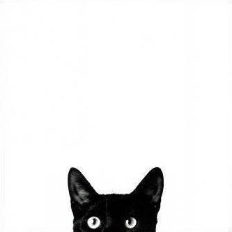 Елена Чернова