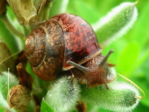 Сергей Губарь