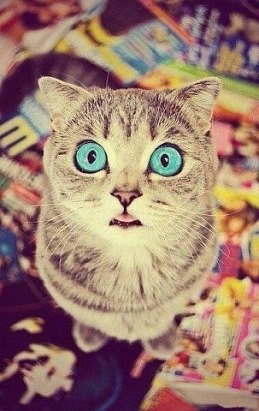 Тёма Тарасов