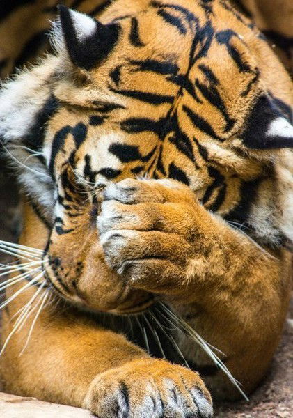 Алексей Катухин