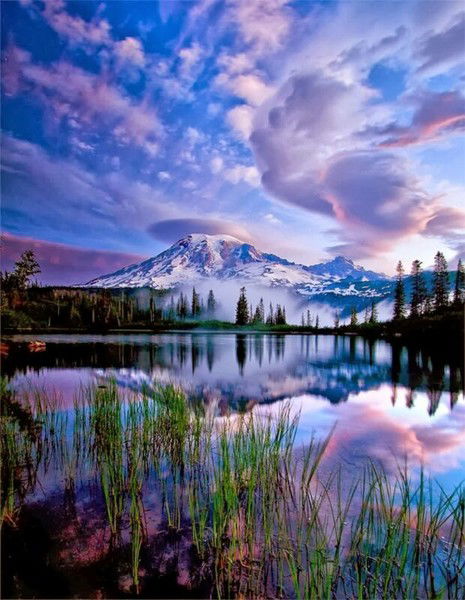 Салтанат Аркабаева