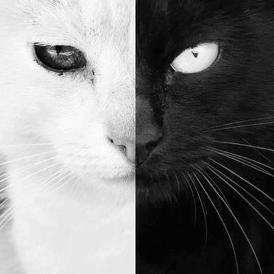 Сабріна Рукас