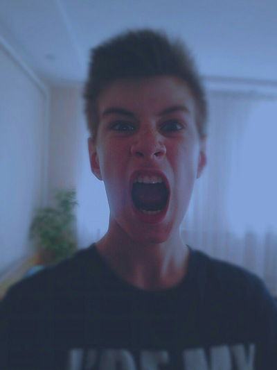 Илья Елисеев