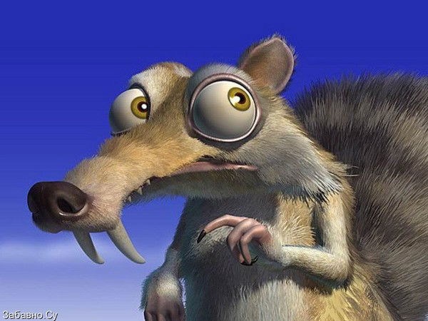 Александр Новоселец