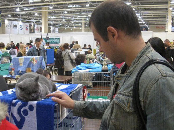 Сергей Ищенко